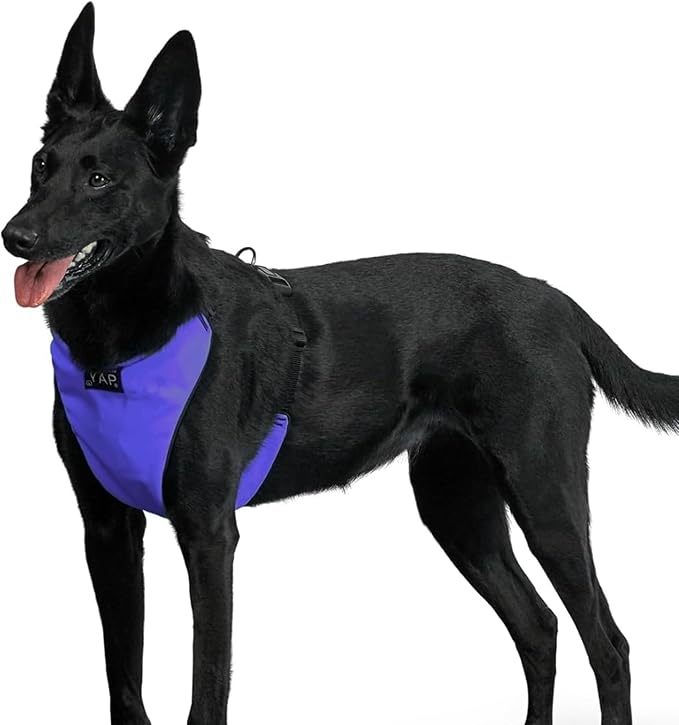 YAP Techno® No Pull Harness for Small Dogs, 4-Way Adjustable, Temperature Controlled Pet Vest Harness Chokefree Dog Harness with Easy Control Handle for All Dog Breeds; 15-25 lbs (Royal Purple, Small)