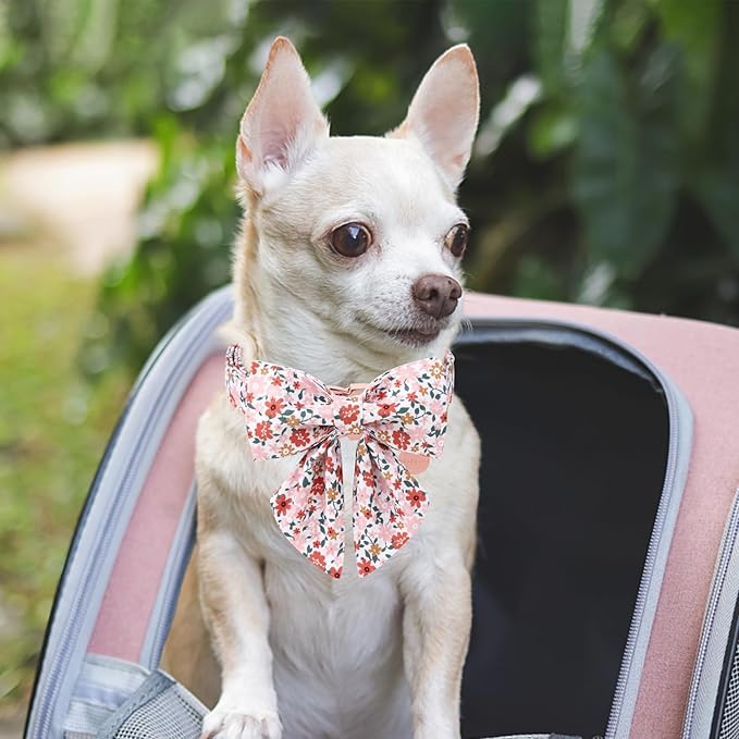 Flower Bowtie Dog Collar With Metal Buckle - Summer Comfortable Cotton Collar for Puppy Boy Girl, XS