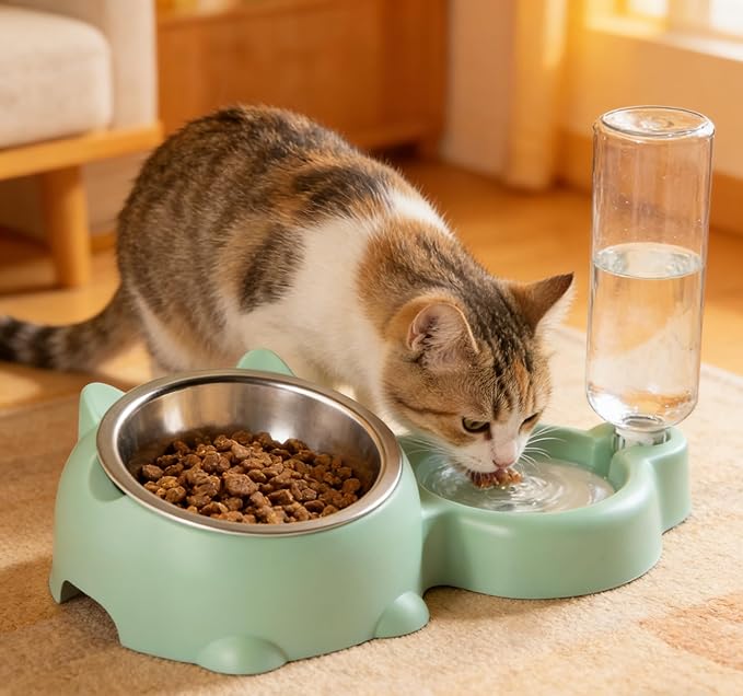 Cat Food and Water Bowl Set, Automatic Dog Dish Bowl with Water Dispenser, Removable Drinking and Eating Bowls, No-Spill Pet Feeder for Puppy, Medium Dogs & Cats (Green)