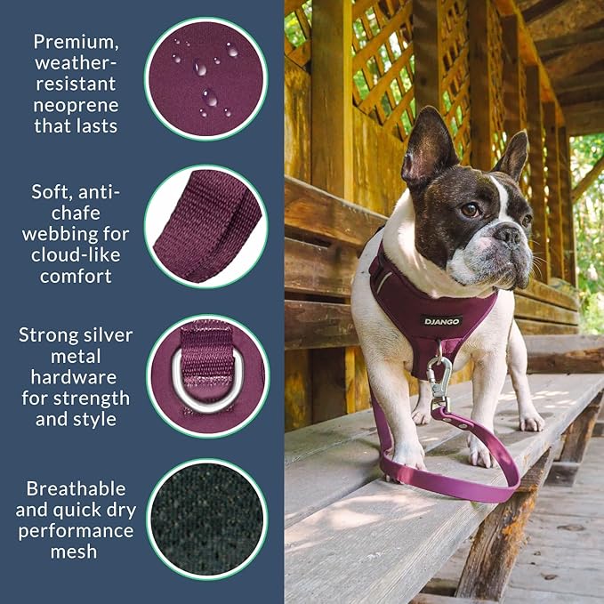 DJANGO Tahoe No Pull Dog Harness – Escape-Proof Dog Harness for Small & Medium with Front & Back Clips for Everyday Use – Adjustable, Padded, Reflective, Secure, Easy On/Off – Raspberry Purple, Medium