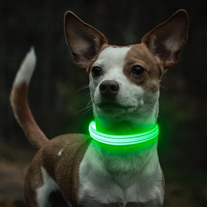 Light Up Dog Collar for Small Dogs - LED Dog Collar Rechargeable Adjustable Puppy Collars, Glow in The Dark Dog Lights for Night Walking（X-Small, Green）