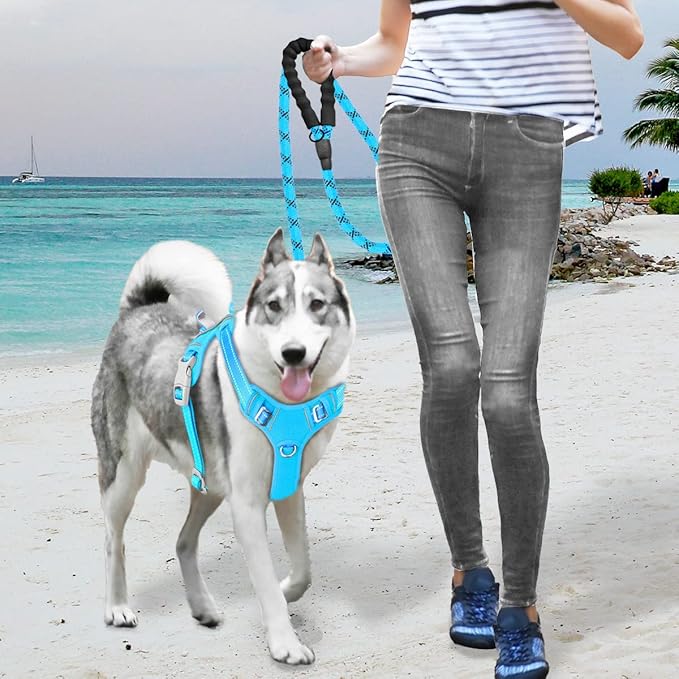 BARKBAY No Pull Dog Harness Large Reflective Dog Harness with Front Clip and Easy Control Handle for Walking Training Running with ID tag Pocket(Blue,L)