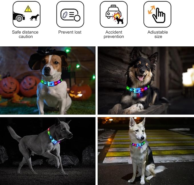 Light Up Dog Collars,LED Dog Collar Rechargeable Waterproof,2-in-1 Buckle Type Glow Collar for Medium Large Dogs.XS(Bohemian Blue)