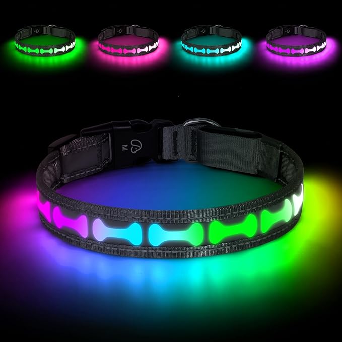 Flashseen LED Dog Collar Light Up USB-C Rechargeable, RGB 7 Colors 3 Modes Glow in The Dark Collar, Adjustable 360° Visibility Glowing Collars for Night Walking for Dogs (Grey, Medium)
