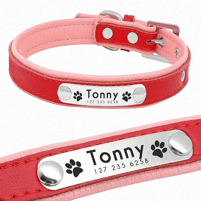 Personalized Dog Collars Leather Padded Customized Dogs Collars Name ID Collar for Small Medium Dogs Cats Blue Pink Black Red
