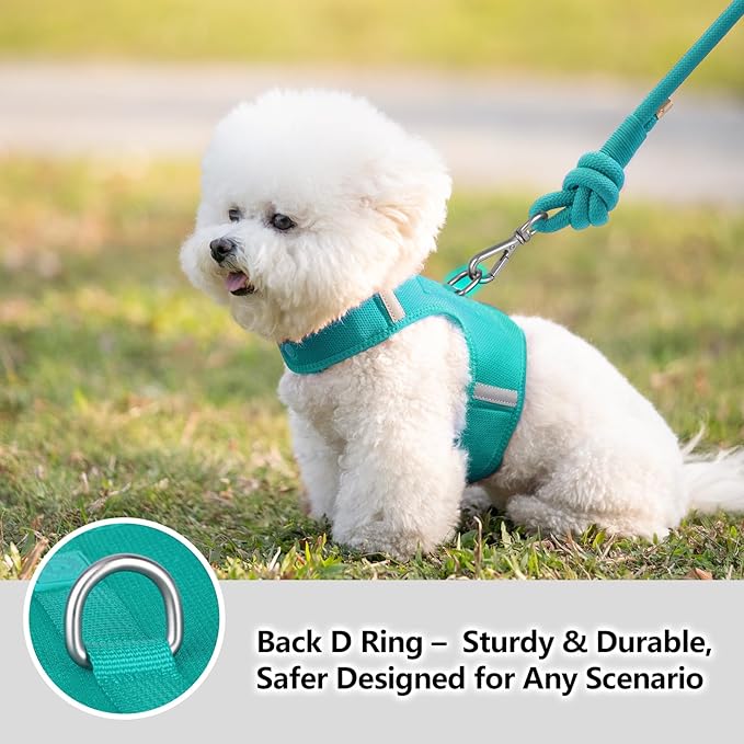 Dog Harness for Puppy – Adjustable Reflective Easy Put On Soft Mesh Vest for Small Dogs with 2 Patches (MARRS Green,XXS)