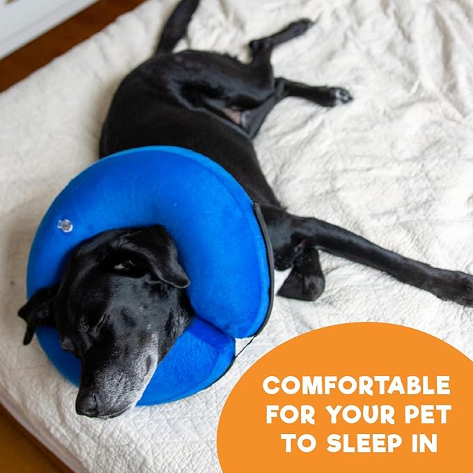 BENCMATE Inflatable Dog Cone Collar Alternative, Soft Dog Cone for Small Medium Large Dogs and Cats, Neck Recovery ECollar Donut Collar After Surgery (Small, Blue Donut)