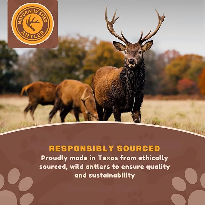 WhiteTail Naturals - Split Antlers for Large Dogs - (2 Pack- Large) - Naturally Shed, Long Lasting Dog Antler Horn - Tough Chew Bones for Aggressive Chewers