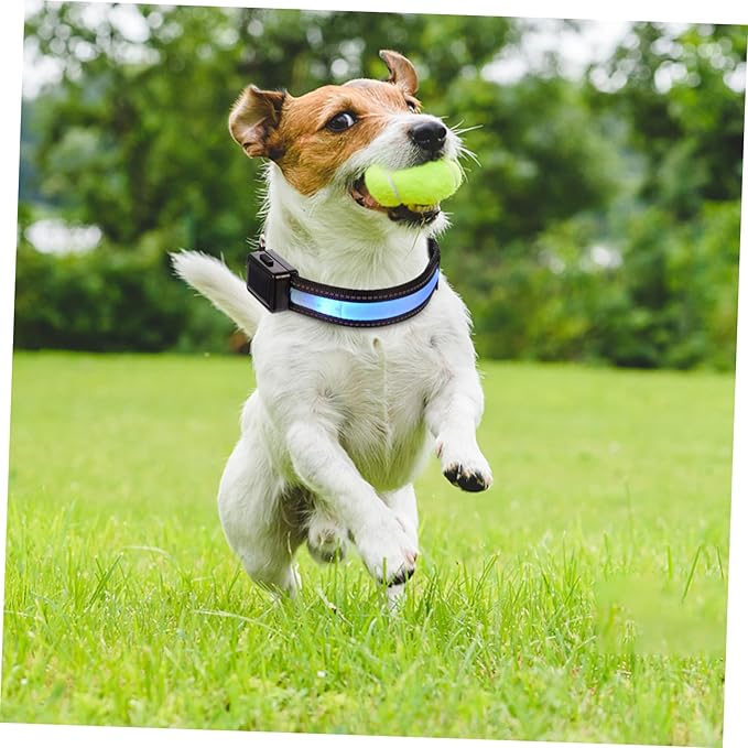 Dog Collars for Dogs Night Safety Led Pet Collar USB Charging Fashionable Pet Supplies