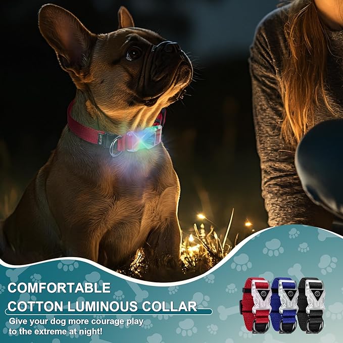 Small Light Up Dog Collar, Cotton Black Dog Collar Girl Boy, Lighted Dog Collars for Night, IP67 Waterproof Lighted Dog Collars for Small Dogs with Buckle, D-Ring (9.8"-15.7" L, 3/4" W)