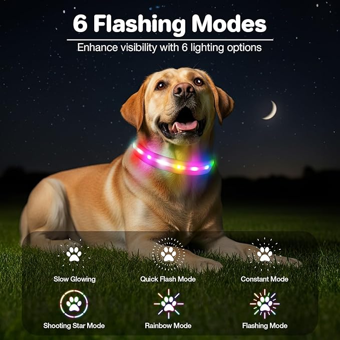 Light Up Dog Collar, USB Rechargeable 6 Modes, Waterproof Charging Port, Long Lasting LED Collar - Adjustable Nylon Reflective for Dogs, Sizes S/M/L (7/9/11 Lights) - 5 Colors (Pink, L)