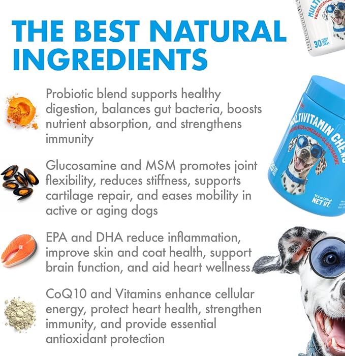 Dog Vitamins - 120 Multivitamins Chews w/Glucosamine Chondroitin, Probiotics Digestive Enzymes and Omegas - Supplement for Overall Health - Joint Support, Immune Health, Skin and Heart Health