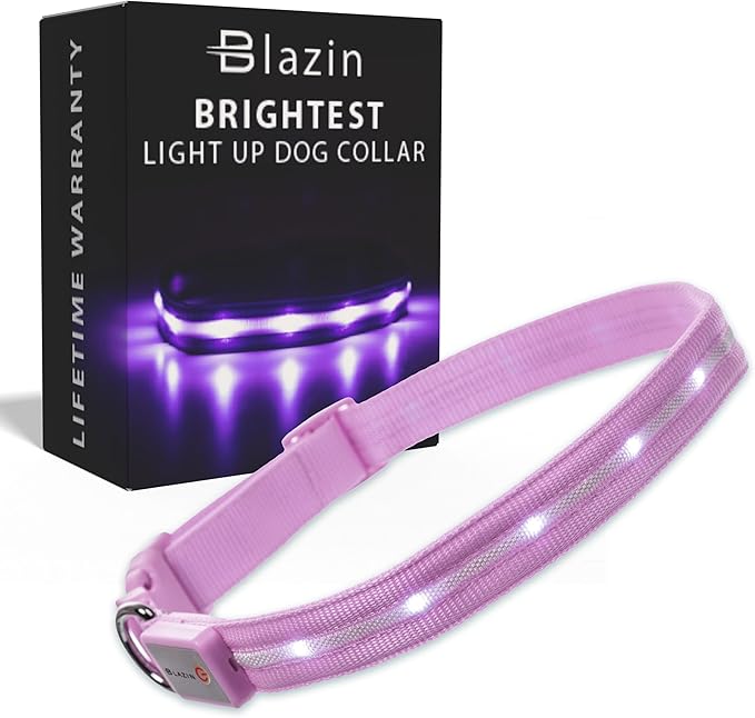Blazin Light Up Dog Collar - The Original LED Dog Collar - USB Rechargeable - Waterproof - 1,000 Feet of Visibility - Dog Collar Light for Small, Medium, Large Dogs - USA Brand