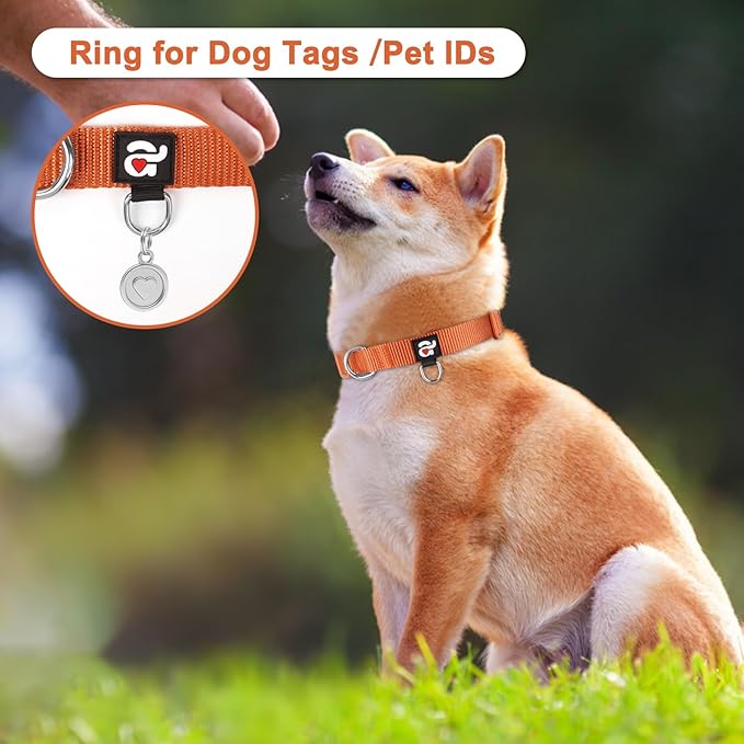 azuza 3 Pack Fall Dog Collars Comfortable and Adjustable Nylon Dog Collars for Large Dogs, L (18-26inch)， Ginger Yellow, Rust Orange and Latte Brown