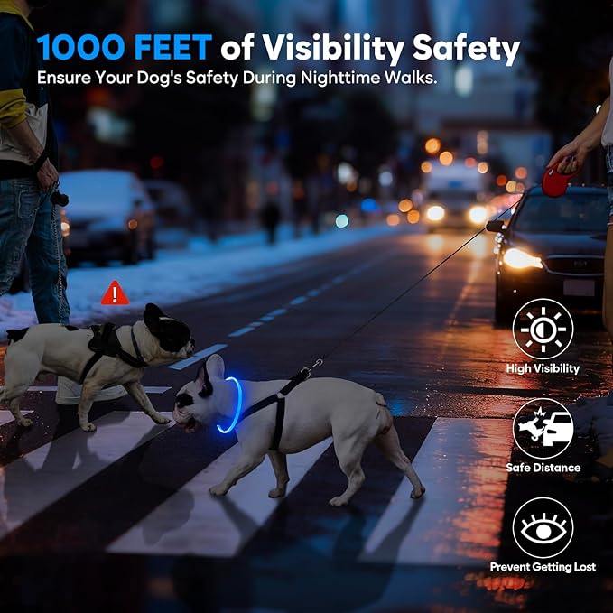 LED Dog Collar, Light Up Dog Collars USB Rechargeable for Night Walking-Fashion TPU Glowing Safety Pet Collar Lights for Small Dogs Cat (Blue)