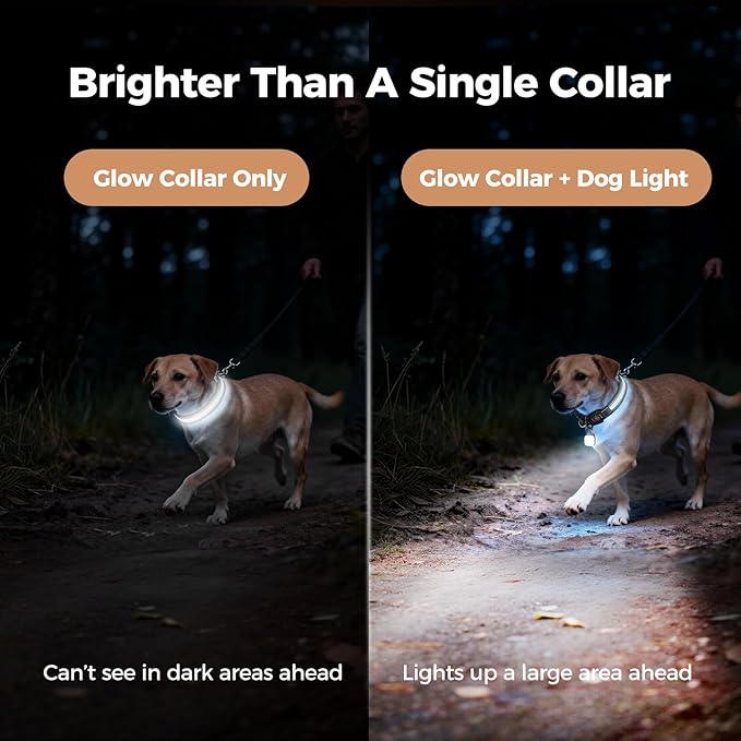 Light Up Dog Collar with Dogs Light Set, Adjustable USB Rechargeable LED Dog Collar Light for Night Walking for Small Medium Large Pet