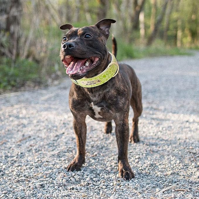 Personalized Dog Collar Soft Leather Custom Puppy Collar Printed Pitbull Collars Pets Products for Small Medium Large Dog Light Green M