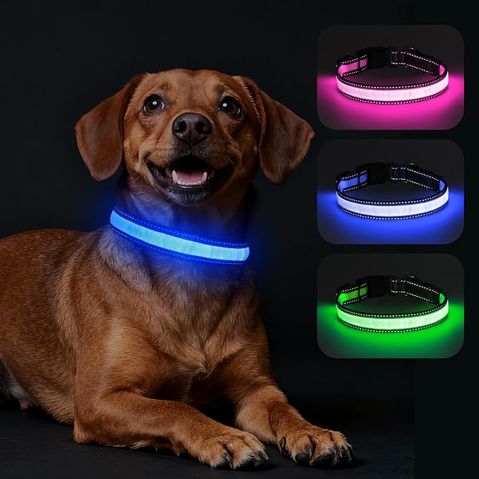 LED Dog Collar, Light Up Dog Collar Adjustable USB Rechargeable High Visibility Dog Light Glowing Pet Collars for Small Medium Large Dogs (Blue, M)
