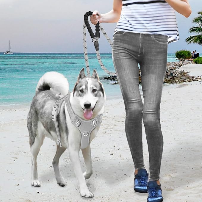 BARKBAY No Pull Dog Harness Large Reflective Dog Harness with Front Clip and Easy Control Handle for Walking Training Running with ID tag Pocket(Grey,M)