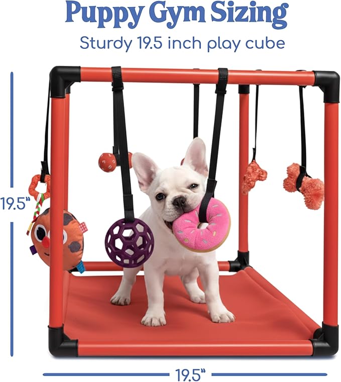 Race&Herd Puppy Play Gym, Dog Play Mat, 8 Bungee Straps Interactive Puppy Active Toys - Small Dog Jungle Gym 19.5" Frame with Playground Set Indoor Enrichment Activity Center (Red)