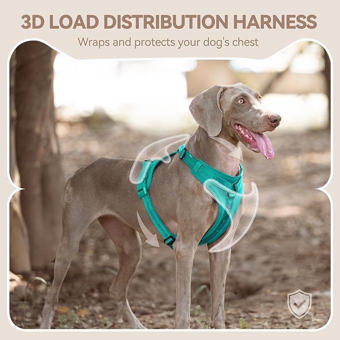 No Pull Dog Harness with Lycra, Three-Point Force Dispersion & 3D Padding, Adjustable Breathable Mesh for Small Medium Large Dogs(MARRS Green,M)