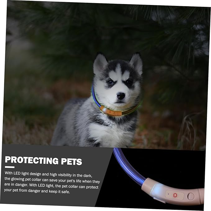 GALPADA LED Puppy Collar Rechargeable Glowing Dog Collar High Visibility Pet Accessory for Safety Stylish Design for