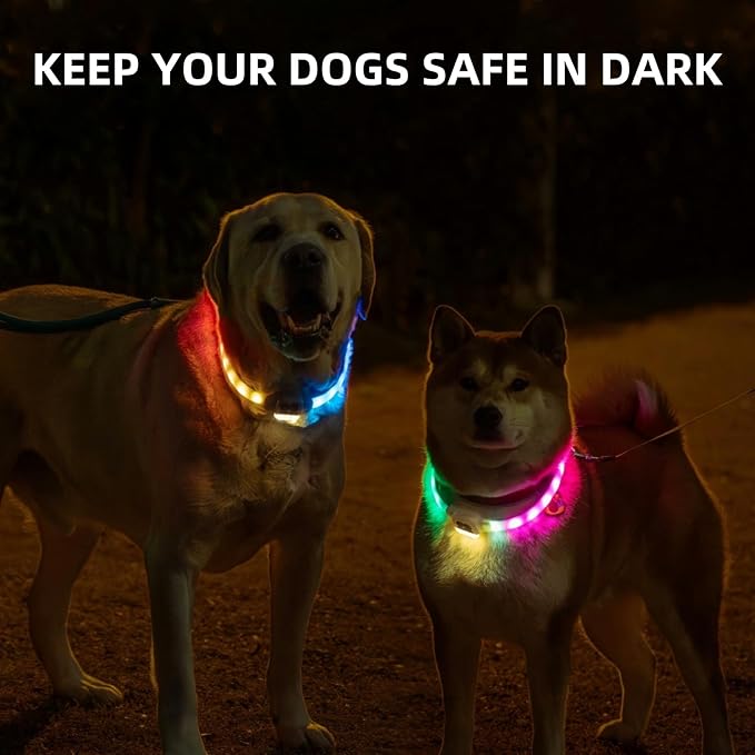 Light Up Dog Collar for Night Walking, USB Rechargeable LED Dog Collar with 6 Glow Modes, Adjustable, Reusable, Durable, Keep Safe in Dark for Small Medium Large Dogs (White, L)