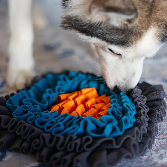 Messy Mutts Square Forage Mat with Suction Cups on Back for Stability | 11” x 11” Snuffle Mat Puzzle for Dogs | Stimulating Sniffing Interactive Puzzle for Dogs