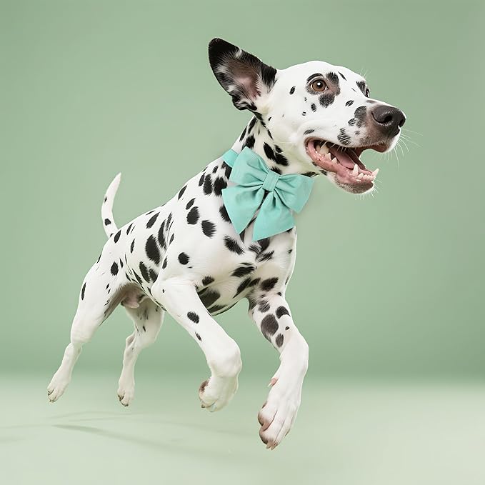 Maca Bates Mint Green Dog Collar with Cute Solid Sailor Bow Tie for Small Girl Boy Dogs,Adjustbale Durable Breakaway Soft Collars with Bowtie for Female Male Puppy,Pet with Metal Buckle