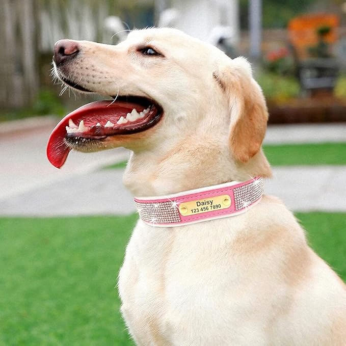 Personalized Dog Collar Crystal Rhinestone Dog Collars Anti-Lost Soft Padded ID Collar Free Engraved for Small Medium Large Dogs Pink L