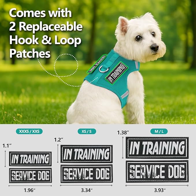 Dog Harness for Puppy – Adjustable Reflective Easy Put On Soft Mesh Vest for Small Dogs with 2 Patches (MARRS Green,XXXS)