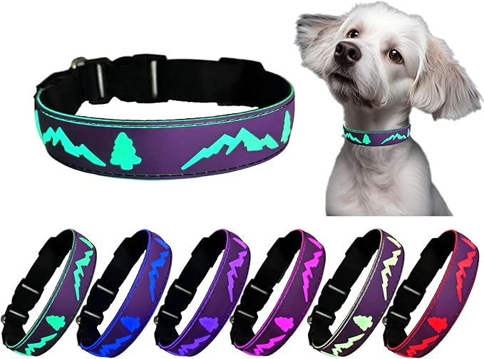 Personalized Light up Dog Collars Rechargeable with Waterproof airtag Holder for Black Dog Night Walking (Purple Collar 15 Modes Lighting, M(11.8-15.7"))