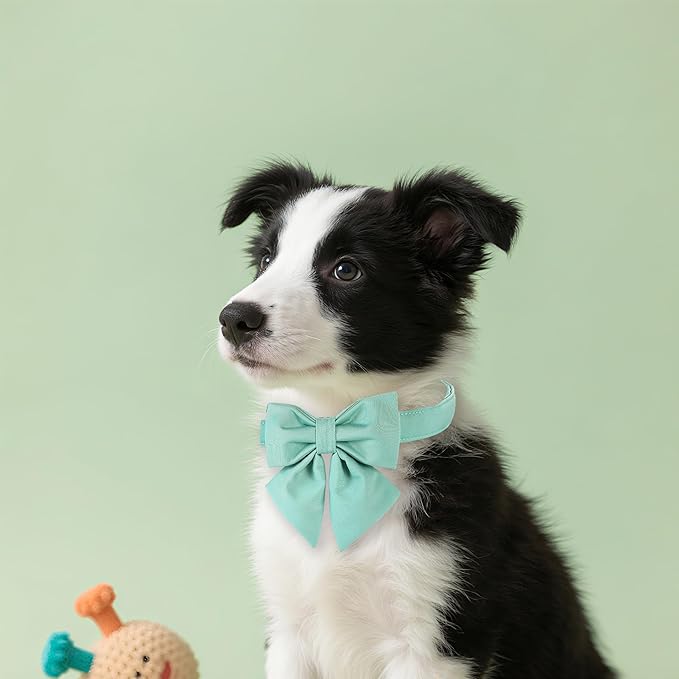 Maca Bates Mint Green Dog Collar with Cute Solid Sailor Bow Tie for Small Girl Boy Dogs,Adjustbale Durable Breakaway Soft Collars with Bowtie for Female Male Puppy,Pet with Metal Buckle