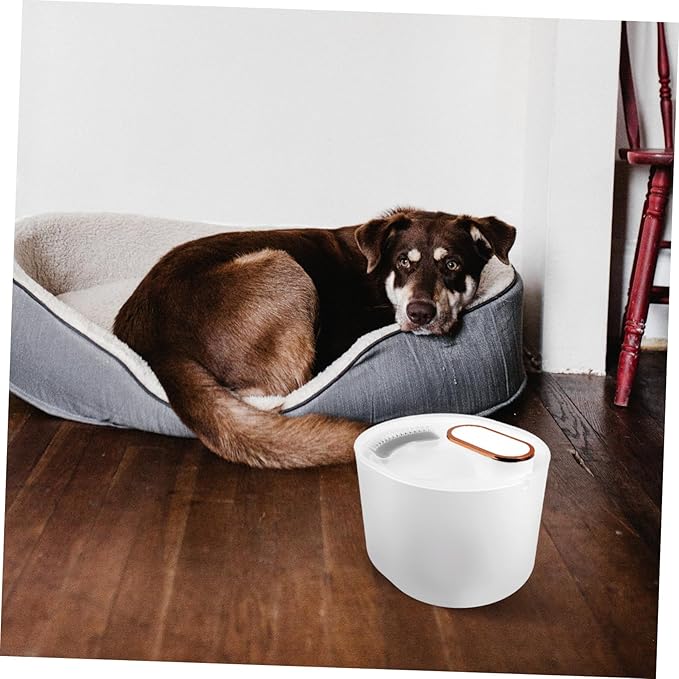 3l Auto Electric Pet Water Fountain Dog Cat Drinking Dispenser Filter Self-Filling Low Water Level Protection Pp Material Mineral White
