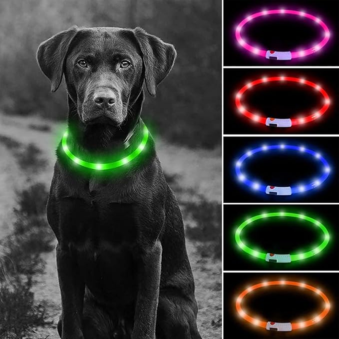 Dog Collars Light Up USB Rechargeable for Night Walking,Durable LED Dog Collar with 3 Modes Switch,Adjustable Lighted Dog Collar for Small Medium Large Dog