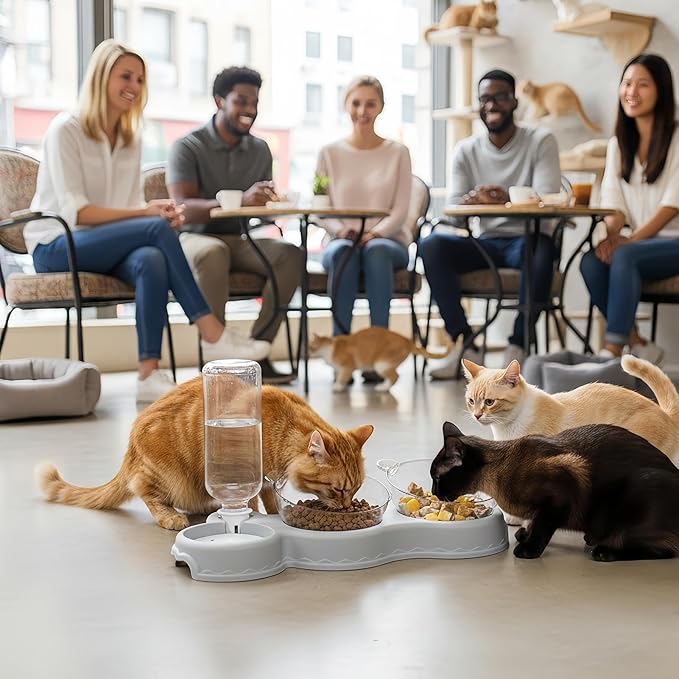 Automatic Pet Feeder, Cat Water Food Set for Small Medium Large Pets, Durable Pp+pc Material with Easy Refill Water Bottle and Bowl Design, Perfect for Indoor Daily Feeding Vacation or Night Use