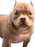 Gold Chain Dog Collar-3/4 Width Cuban Link Dog Necklace, Cute Fashion Pet Collar for Pit Bulldog, Light Metal Jewelry Chain Puppy Accessories 14"