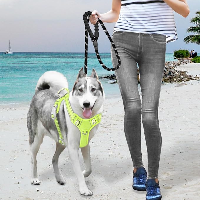 BARKBAY No Pull Dog Harness Large Reflective Dog Harness with Front Clip and Easy Control Handle for Walking Training Running with ID tag Pocket(Sunlight,XL)