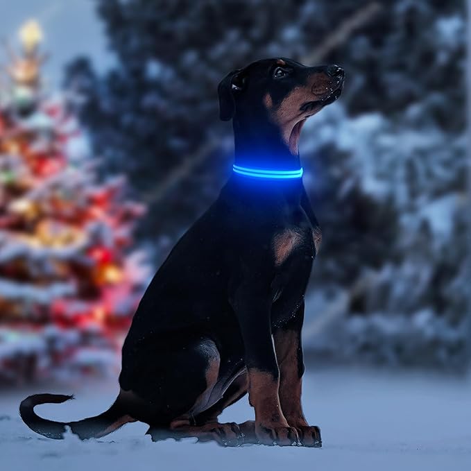 Light Up Dog Collar - Rechargeable LED Dog Collar Light Glow in The Dark Puppy Collar, Dog Camping Gear Adjustable Dog Collars for Small Dogs(Small, Blue)