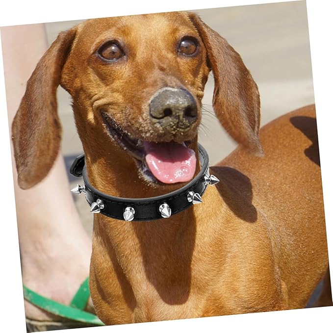Leather Spiked Dog Collar for Pets Adjustable Studded Pet Collar for Dogs and Cats Wear-Resistant Design and