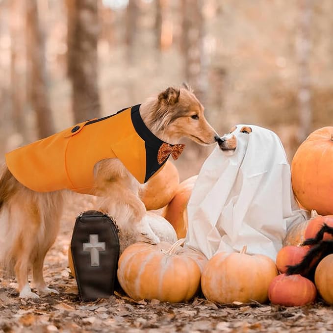Kuoser Dog Tuxedo Suit and Bandana Set, Pumpkin Color Dogs Thanksgiving Outfit Adjustable Dog Halloween Costume with Bow Tie for Large Medium Small Dogs Golden Retriever Samo Bulldogs, M