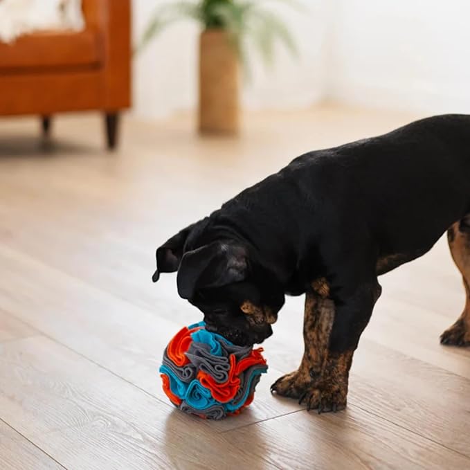 Messy Mutts Round Forage Ball | 6” x 6” Snuffle Ball Puzzle for Dogs | Stimulating Sniffing Interactive Puzzle for Dogs