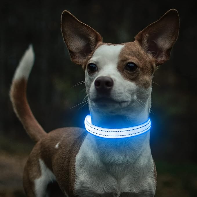 Light Up Dog Collar for Small Dogs, LED Dog Collar Rechargeable Safety Dog Lights, Fully Adjustable Glow in The Dark Dog Collar Light for Night Walking & Camping (X-Small, Blue)