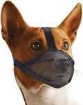 Mesh Dog Muzzle for Extra Large Sized Dogs, Whongkidz Air Mesh Basket Muzzle with Adjustable Straps Full-Covered Dog Mouth Guard Breathable No Biting Barking Chewing Licking (Black, XL)