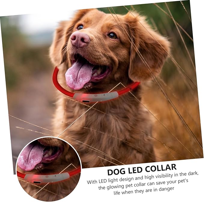 Housoutil 2pcs Dog Collar Pet Glow Collar Led Lights Night Safety Rechargeable for Puppies