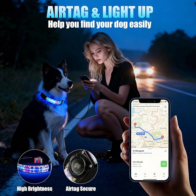 LED AirTag Dog Collar - Brightest Light Up Dog Collars - IP68 Waterproof Air Tag Dog Collar Holder - 1,600 Feet of High Visibility - Magnetic Charging - Dog Lights for Night Walking (Flower, XL)