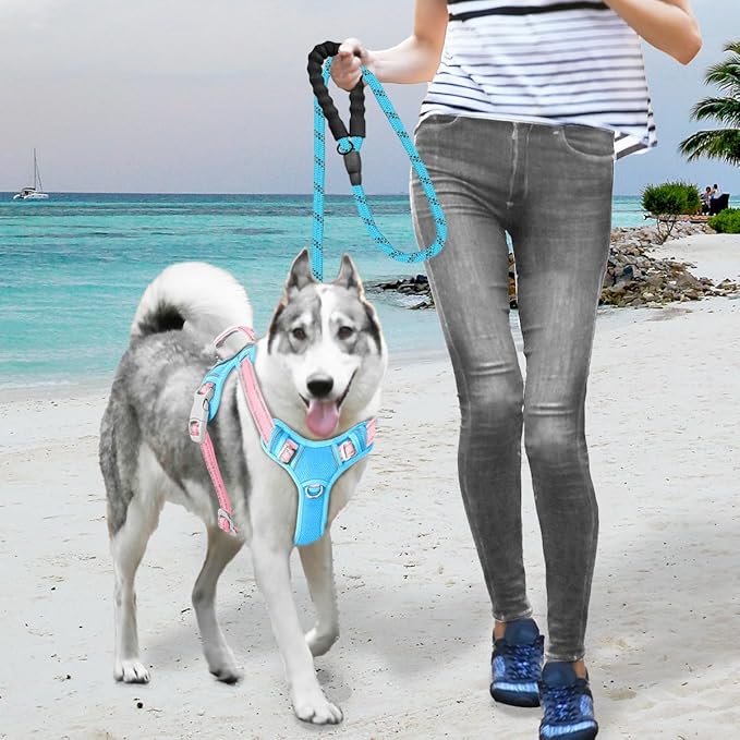 BARKBAY No Pull Dog Harness Large Reflective Dog Harness with Front Clip and Easy Control Handle for Walking Training Running with ID tag Pocket(Baby Blue & Baby Pink,XL)