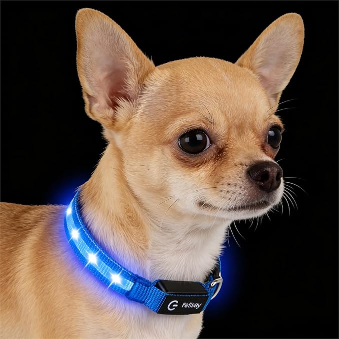 LED Dog Collar for Small Dogs Cats - Fully Waterproof & Adjustable Glow Collar - USB-C Rechargeable for Night Walking, Safety - Flashing Lighted Collar for Dogs(Blue,S)