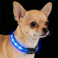 LED Dog Collar for Small Dogs Cats - Fully Waterproof & Adjustable Glow Collar - USB-C Rechargeable for Night Walking, Safety - Flashing Lighted Collar for Dogs(Blue,S)