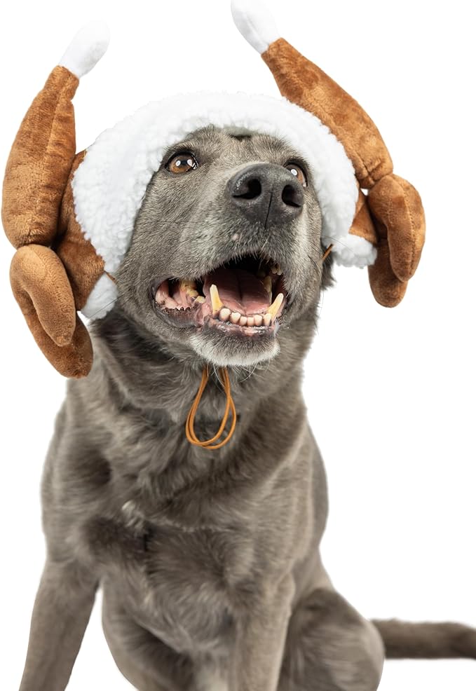 Huxley & Kent Pet Hat | Turkey Tester (Extra-Large) | Fun Thanksgiving Holiday Hat for Dogs/Cats | Cute, Comfortable and Fun | SnugFit Strings for Best Fit